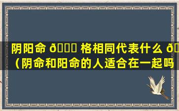 阴阳命 🐎 格相同代表什么 🌵 （阴命和阳命的人适合在一起吗）